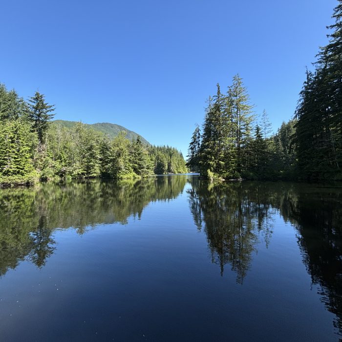 EXPERIENCE THE TRANQUIL RICE LAKE