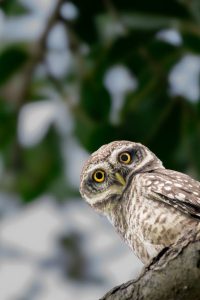 pexels-photo-19046884-19046884.jpg